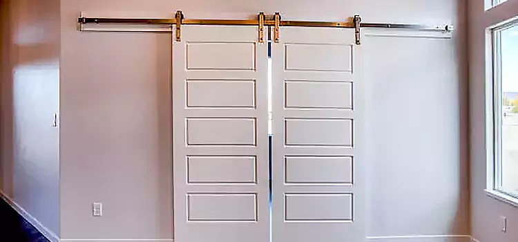 Glass Barn Door with Installation Hardware Kit Fall River