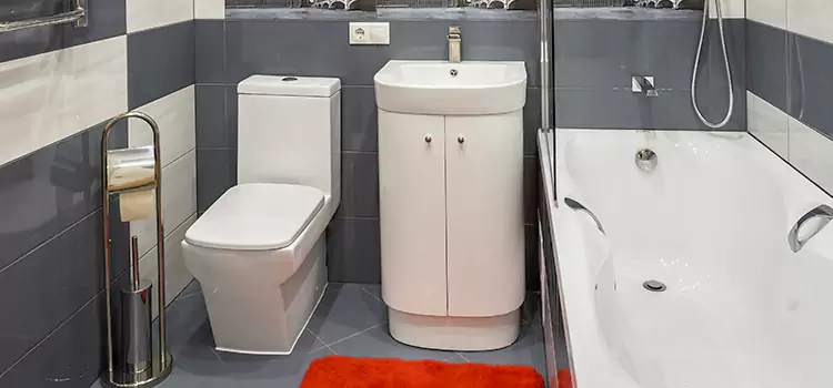 Hansgrohe Shaving Mirror Fall River